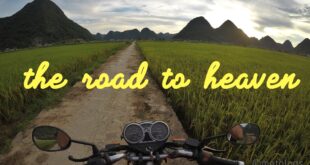 50 Custom Sticker Slogans for Bike and Road Trip